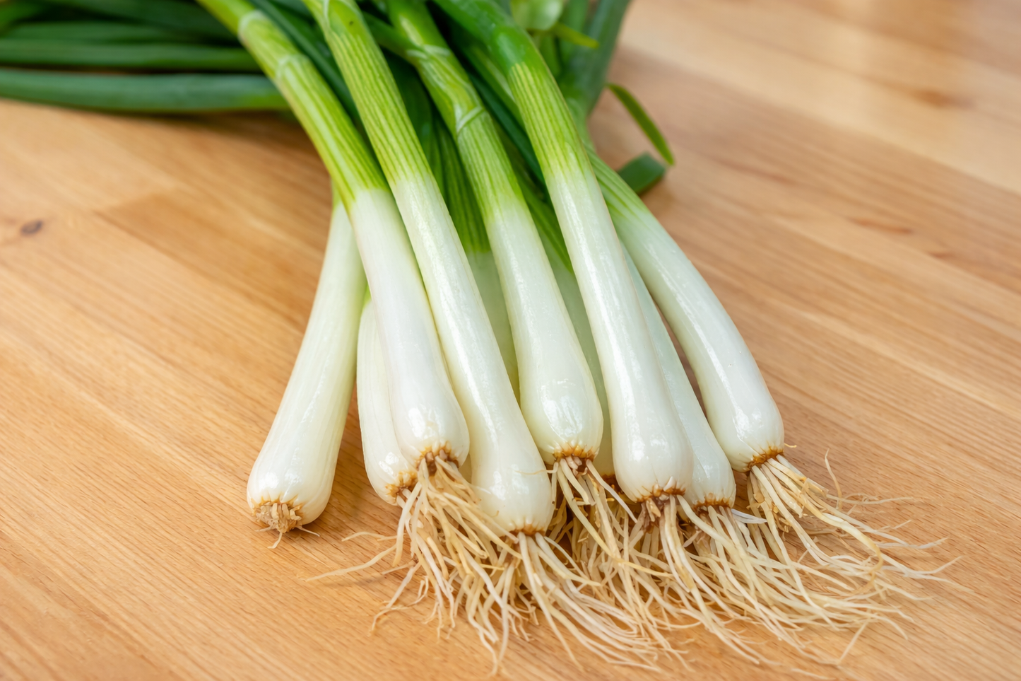 Evergreen Long White Bunching Onion vegetable seeds for slender, mild green onions essential for kitchen gardening.
