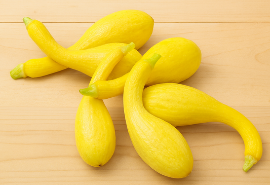 Early Summer Crookneck Squash vegetable seeds with classic bumpy yellow skin and sweet flavor for summer recipes.