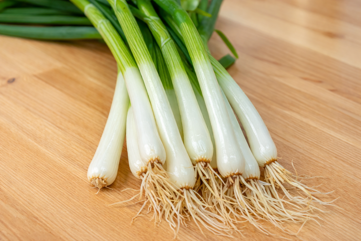 Evergreen Long White Bunching Onion vegetable seeds for slender, mild green onions essential for kitchen gardening.