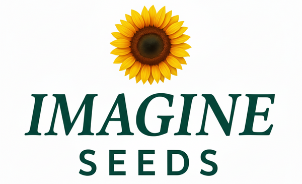 Imagine Seeds