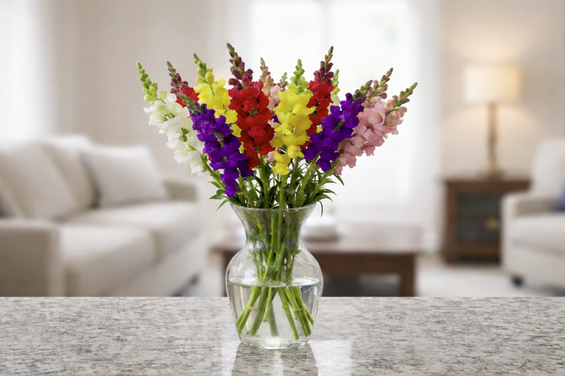Snapdragon Maximum Mix flower seeds featuring towering spikes of multi-colored blooms for classic garden borders.