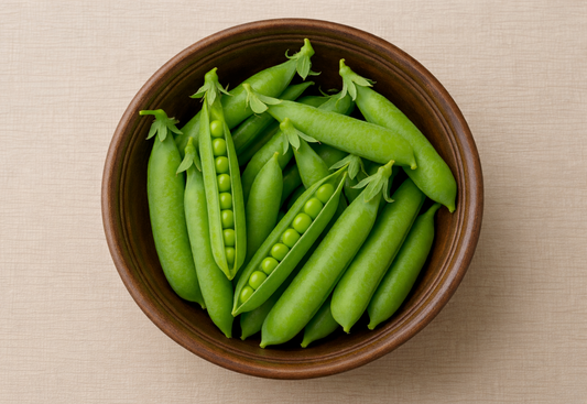 Sugar Daddy Pea vegetable seeds producing stringless, sweet, and crunchy pods for fresh spring garden snacking.
