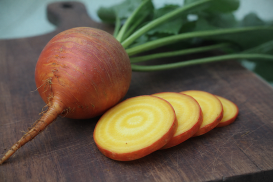 Golden Detroit Beet Seeds