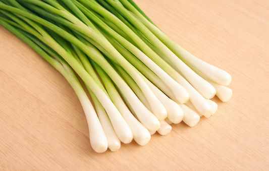 Tokyo Long White Bunching Onion Seeds